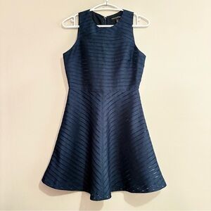 Banana Republic Navy Blue Sheer Striped Dress with Flared Skirt